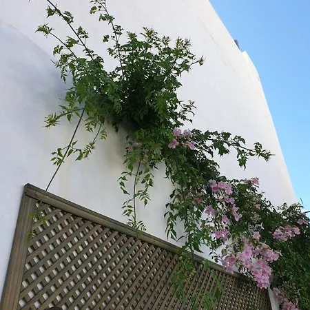 Lala's House Ferienhaus *